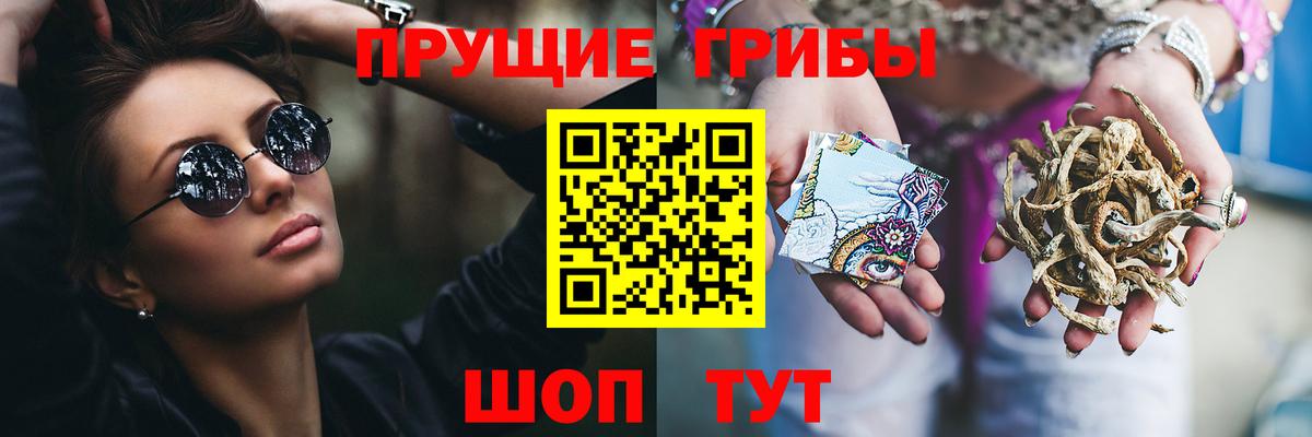 Галлюциногенные грибы GOLDEN TEACHER  Вход с VPN  Саяногорск  закладка  Галлюциногенные грибы Psilocybine cubensis 