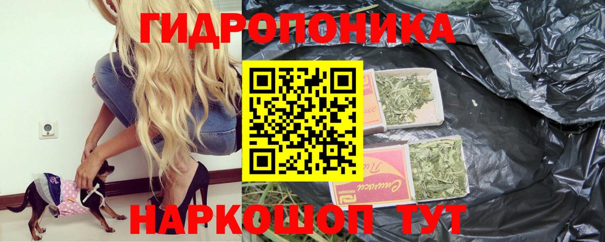Каннабис Bruce Banner Саяногорск